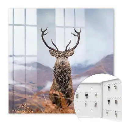 Key cabinet Mountain deer in a foggy landscape