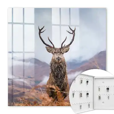 Key cabinet Mountain deer in a foggy landscape