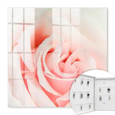 Key box for home Romantic rose in pastel shades