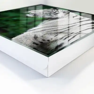 Wall mounted key box White tiger in green surroundings