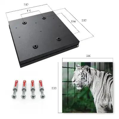 Wall mounted key box White tiger in green surroundings