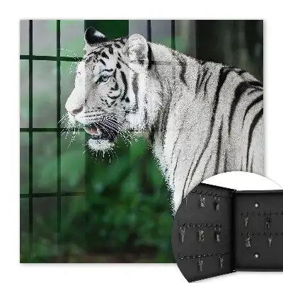 Wall mounted key box White tiger in green surroundings
