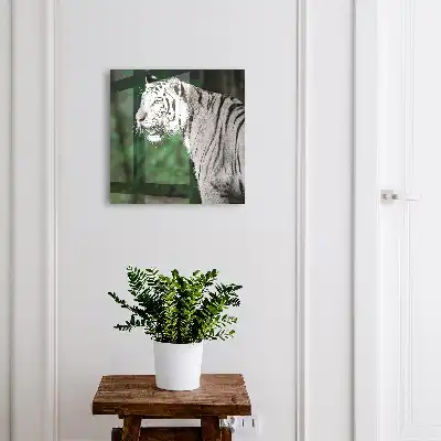 Wall mounted key box White tiger in green surroundings