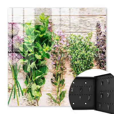 Wall mounted key cabinet Green herbs energy freshness