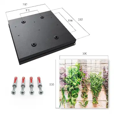 Wall mounted key cabinet Green herbs energy freshness
