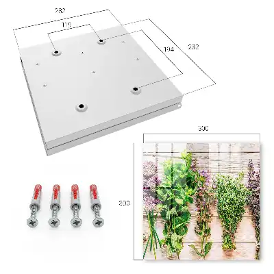 Wall mounted key cabinet Green herbs energy freshness