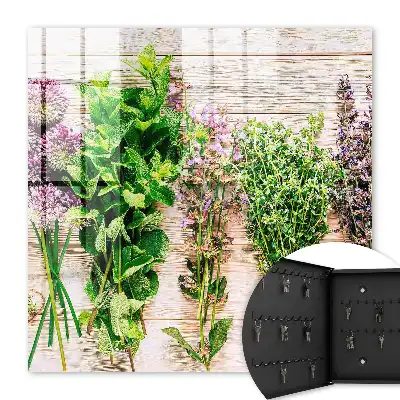 Wall mounted key cabinet Green herbs energy freshness