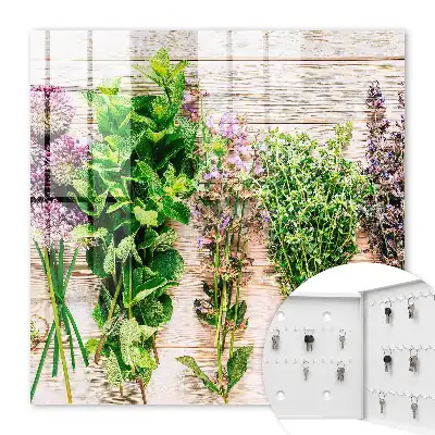 Wall mounted key cabinet Green herbs energy freshness