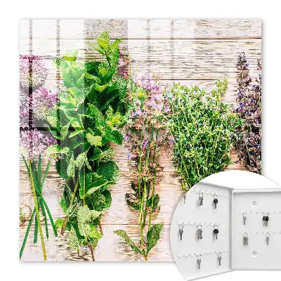 Wall mounted key cabinet Green herbs energy freshness