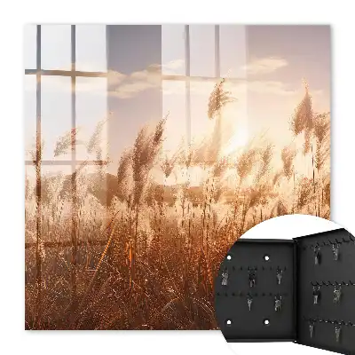Decorative key box Sunset grass in the sky background