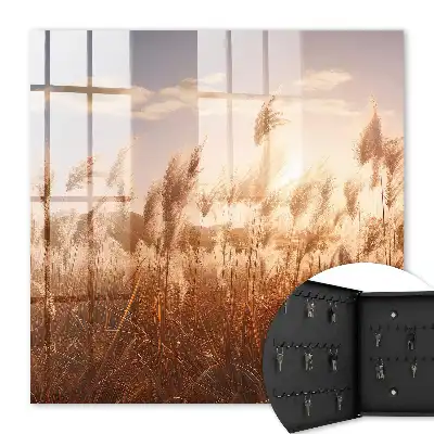 Decorative key box Sunset grass in the sky background