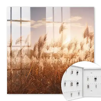 Decorative key box Sunset grass in the sky background