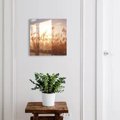 Decorative key box Sunset grass in the sky background