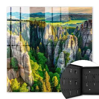 Wall mounted key cabinet Rocks and green forest