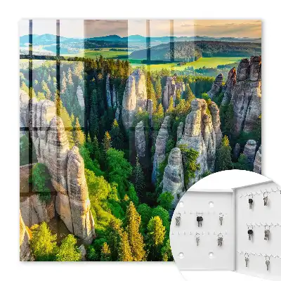 Wall mounted key cabinet Rocks and green forest