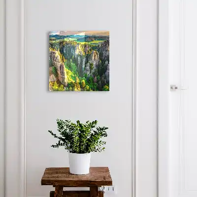 Wall mounted key cabinet Rocks and green forest