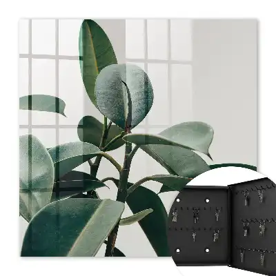 Key box for home Ficus leaves in the light background