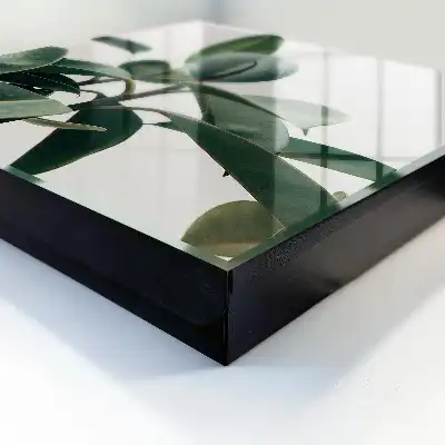 Key box for home Ficus leaves in the light background