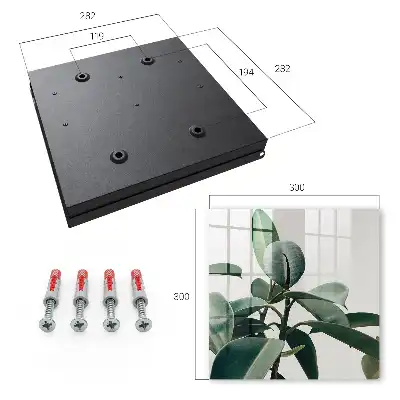 Key box for home Ficus leaves in the light background