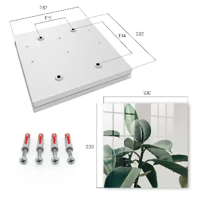 Key box for home Ficus leaves in the light background