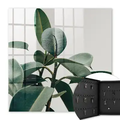 Key box for home Ficus leaves in the light background