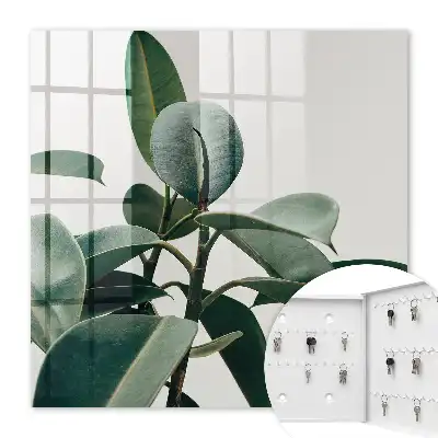 Key box for home Ficus leaves in the light background