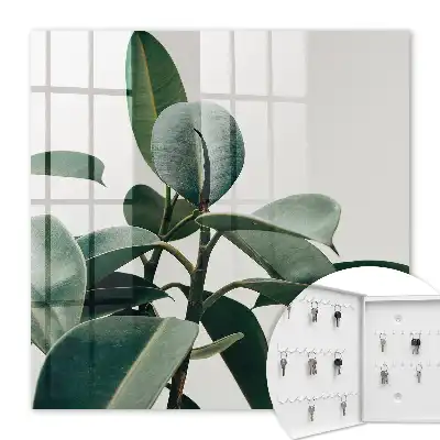 Key box for home Ficus leaves in the light background