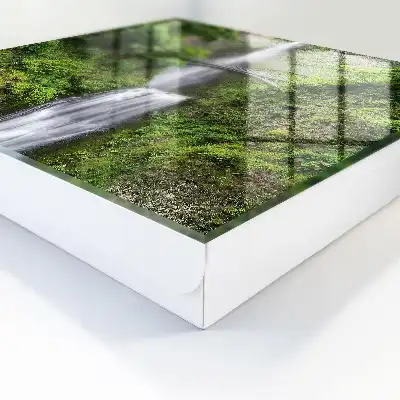 Wall mounted key cabinet Natural harmony surrounded by greenery