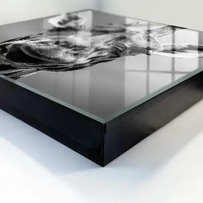 Decorative key box Giraffe portrait in black and white tones