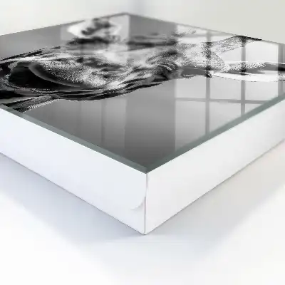 Decorative key box Giraffe portrait in black and white tones