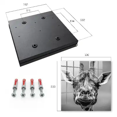 Decorative key box Giraffe portrait in black and white tones