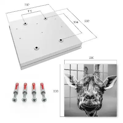 Decorative key box Giraffe portrait in black and white tones