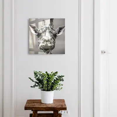 Decorative key box Giraffe portrait in black and white tones
