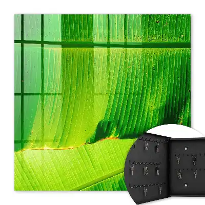 Key cabinet The leaf shines with delicate lines