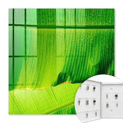 Key cabinet The leaf shines with delicate lines