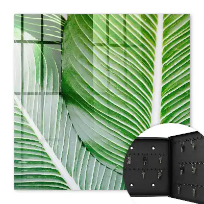 Wall mounted key cabinet The green of nature is expressive in lines