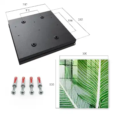 Wall mounted key cabinet The green of nature is expressive in lines