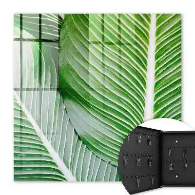 Wall mounted key cabinet The green of nature is expressive in lines