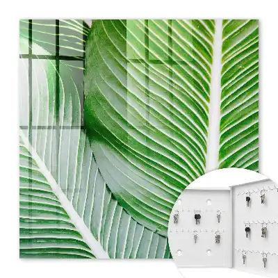 Wall mounted key cabinet The green of nature is expressive in lines