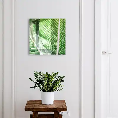 Wall mounted key cabinet The green of nature is expressive in lines