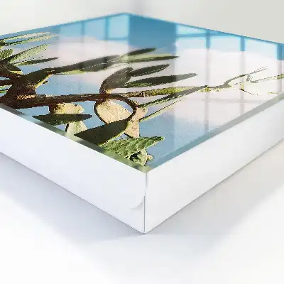 Wall mounted key box Green Cactus Blue Sky