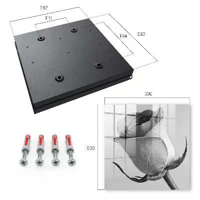 Wall mounted key cabinet Rose elegance minimalism nature