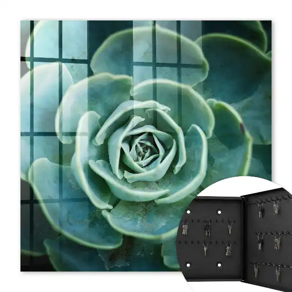 Key cabinet Green rosette perfect for relaxation