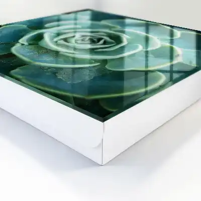 Key cabinet Green rosette perfect for relaxation