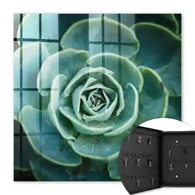 Key cabinet Green rosette perfect for relaxation