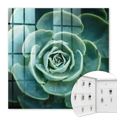 Key cabinet Green rosette perfect for relaxation