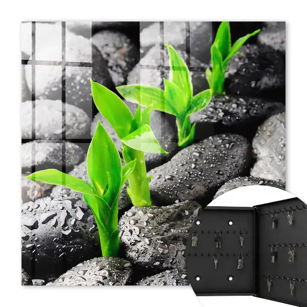 Key cabinet The green nature of wet stones