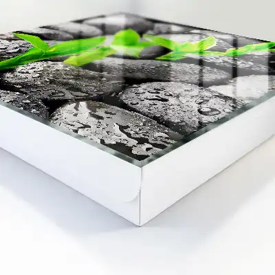 Key cabinet The green nature of wet stones