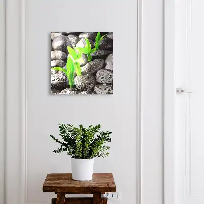 Key cabinet The green nature of wet stones
