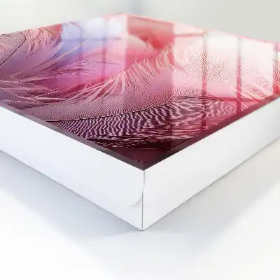 Wall mounted key cabinet Beautiful pink and blue feathers